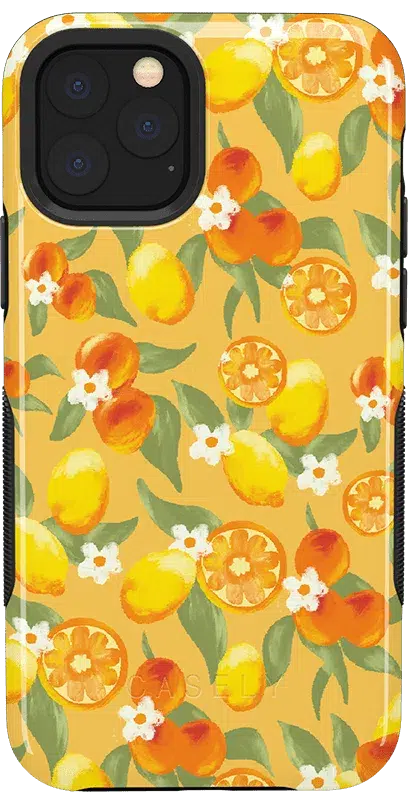 Positano | Dippin' Daisy's Italian Coast Case iPhone Case get.casely Bold iPhone 11 Pro Max 