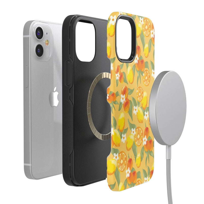 Positano | Dippin' Daisy's Italian Coast Case iPhone Case get.casely 