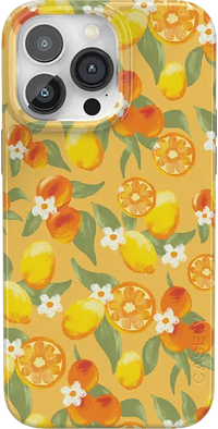 Positano | Dippin' Daisy's Italian Coast Case iPhone Case get.casely Classic + MagSafe® iPhone 14 Pro Max 