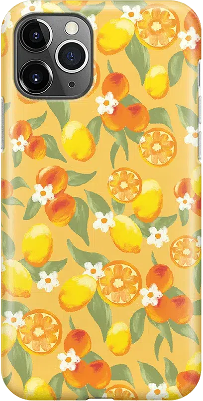 Positano | Dippin' Daisy's Italian Coast Case iPhone Case get.casely Classic iPhone 11 Pro Max 