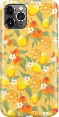 Positano | Dippin' Daisy's Italian Coast Case iPhone Case get.casely Classic iPhone 11 Pro Max 