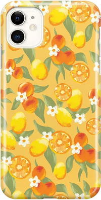 Positano | Dippin' Daisy's Italian Coast Case iPhone Case get.casely Classic iPhone 11 