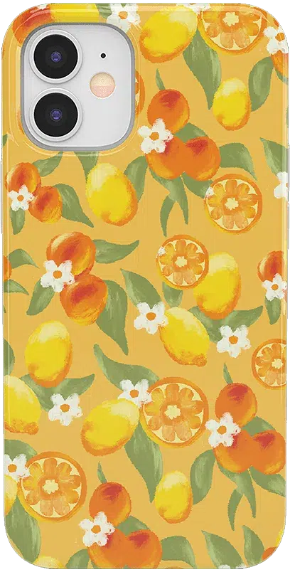 Positano | Dippin' Daisy's Italian Coast Case iPhone Case get.casely Classic iPhone 12 