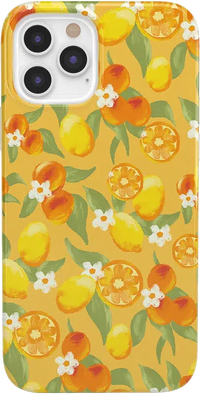 Positano | Dippin' Daisy's Italian Coast Case iPhone Case get.casely Classic iPhone 12 Pro Max 