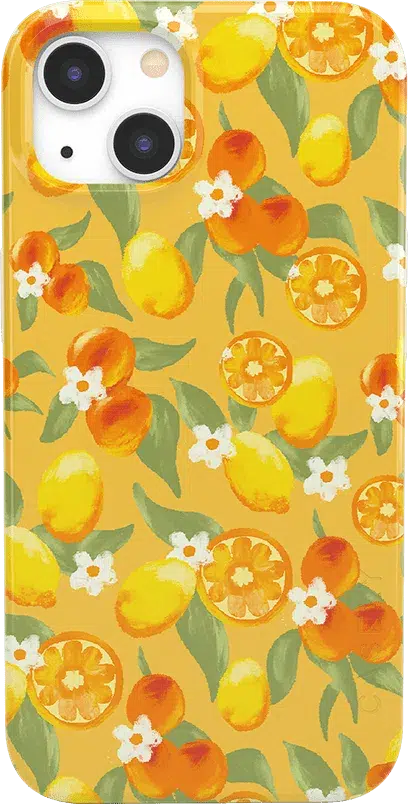 Positano | Dippin' Daisy's Italian Coast Case iPhone Case get.casely Classic iPhone 13 Mini 