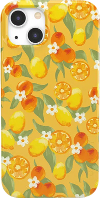 Positano | Dippin' Daisy's Italian Coast Case iPhone Case get.casely Classic iPhone 13 Mini 