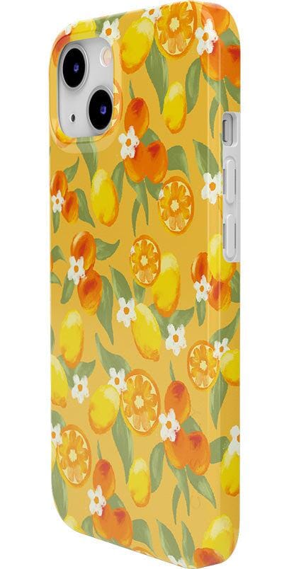 Positano | Dippin' Daisy's Italian Coast Case iPhone Case get.casely 