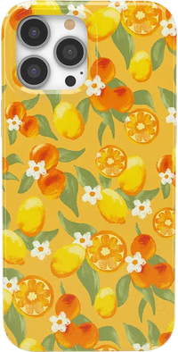 Positano | Dippin' Daisy's Italian Coast Case iPhone Case get.casely Classic + MagSafe® iPhone 13 Pro Max 