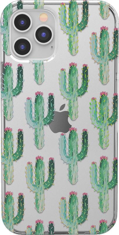 Cacti Bloom iPhone Case by Onesweetorange
